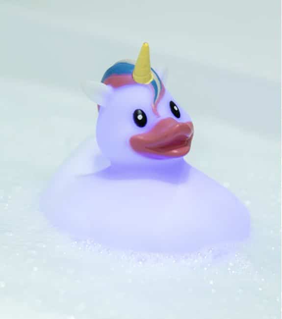 canard licorne