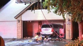 chalumeau incendie tuer araignées