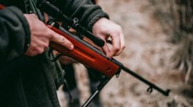 chasseur-renards-chasse-permis-prime