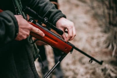 chasseur-renards-chasse-permis-prime