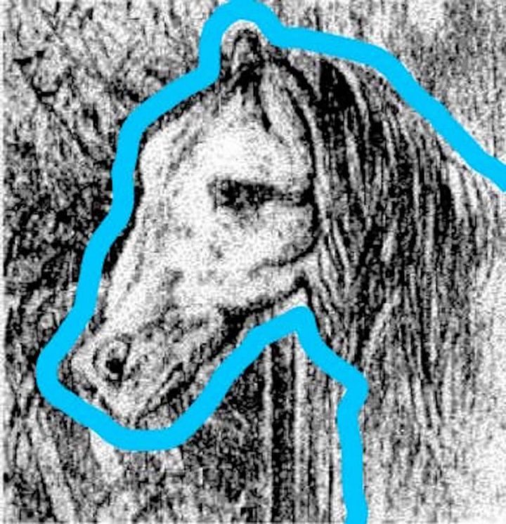 cheval-illusion d'optique-cognitif-cerveau-mémoire