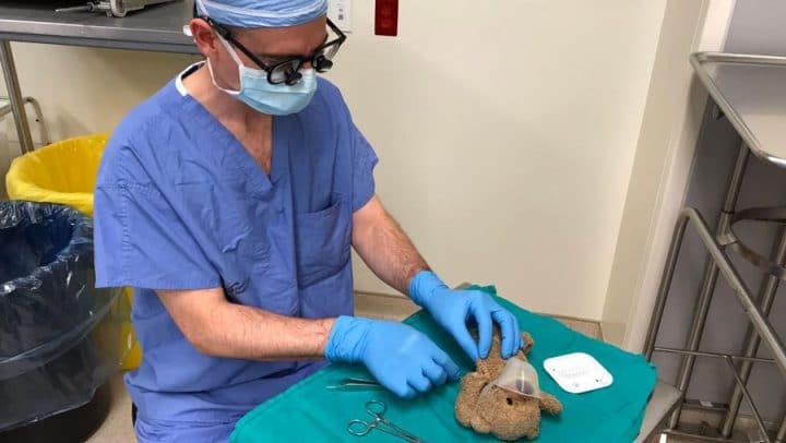 chirurgien opération ours en peluche