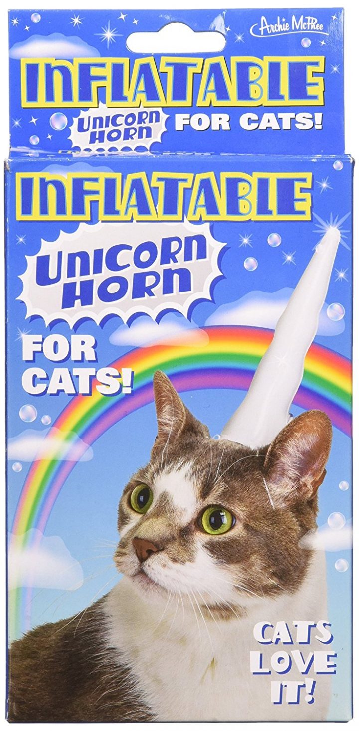 corne licorne chat