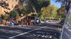 élagueurs abattent arbre tombe sur un cycliste