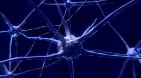 Des scientifiques connectent les cerveaux de trois personnes !