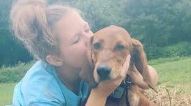 fillette-chien-sacrifie-sa-vie-sauver-enterrer