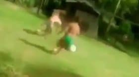 ce chien joue trop bien au foot