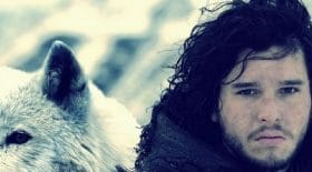 loup-Jon-Snow-Game-Of-thrones-Ghost