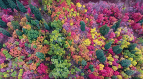 magnifiques-couleurs-automne-court-metrage-drone (2)