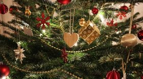 sapin de noel plus cher