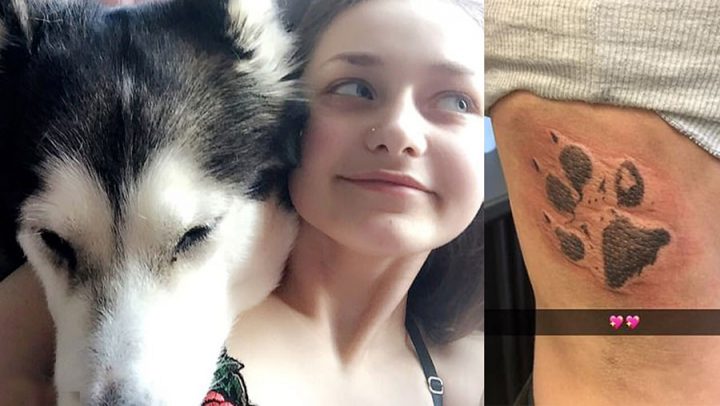 tatouage cendres chien mort