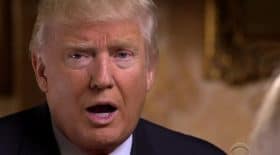 Donald Trump transgenres