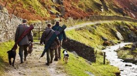 veuve-chasseur-chasse-permis-de-chasse