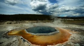 YELLOWSTONE