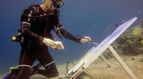 peinture sous-marine fonds marins