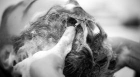 cheveux
