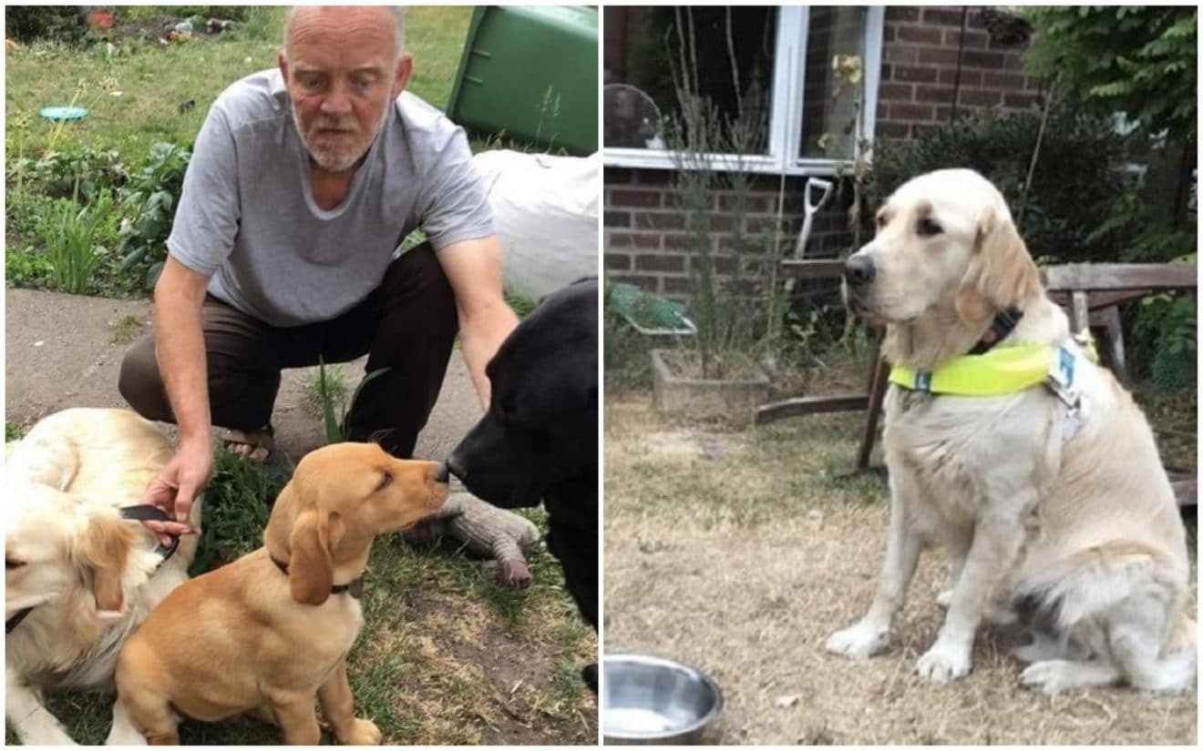 Handicapé, cet homme est forcé d'abandonner son chien