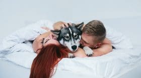 dodo-chien-étude-scientifique-sommeil-récupérateur