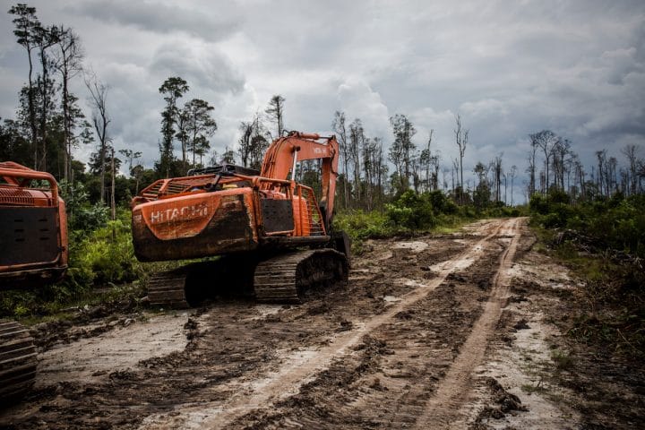 déforestation indonésie