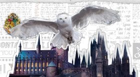 harry-potter-ligne-vêtemens-harry-potter-magique-blasons