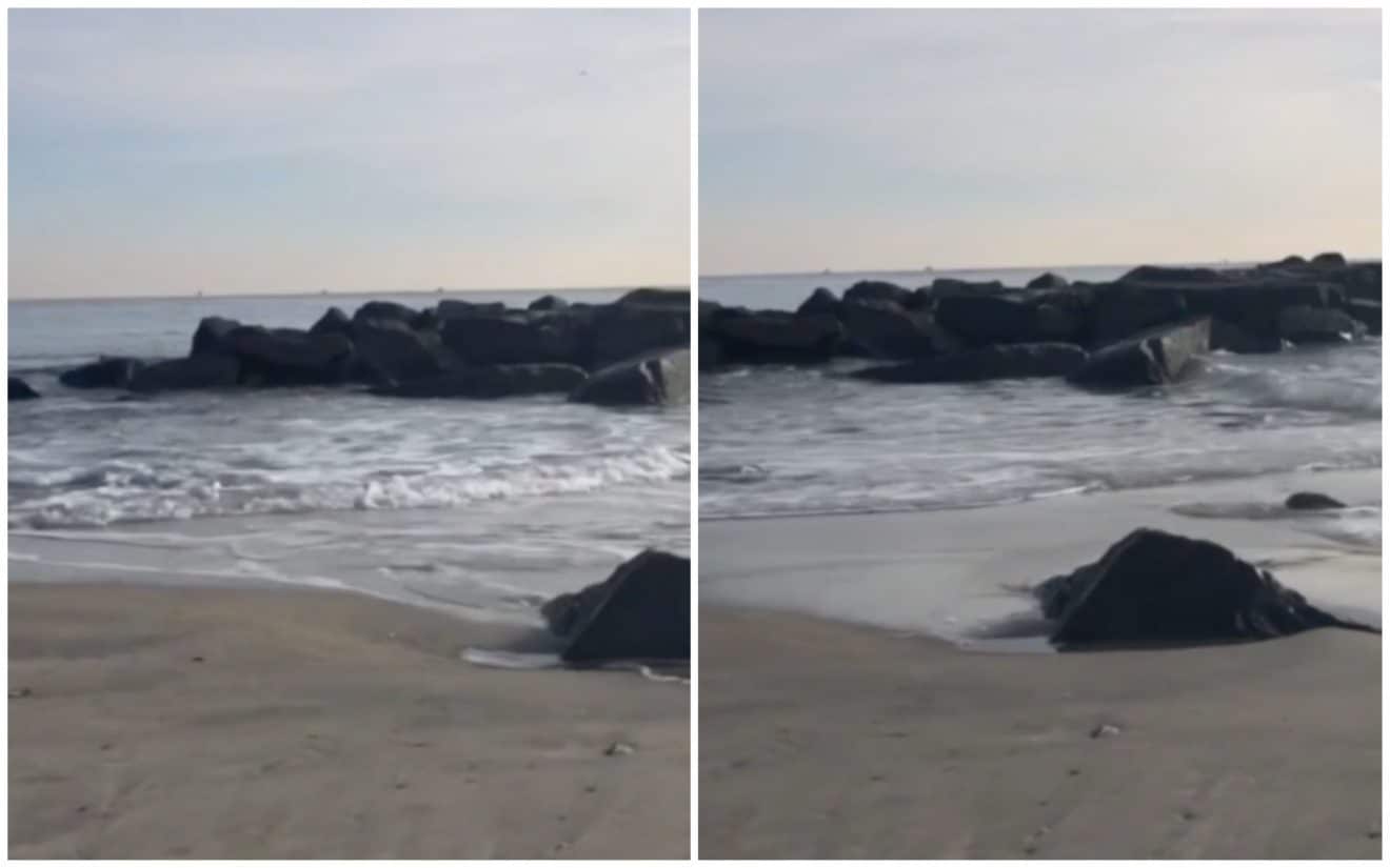 horizon эксклюзив playstation