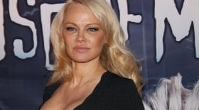 Pamela Anderson soutient l'honnêteté seins nus