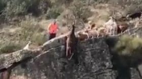 partie-chasse-scandale-espagne-chasseur