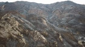 Un paysage ravagé par les incendies en Californie