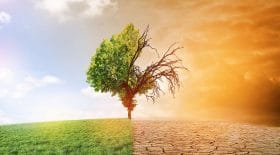 réchauffement climatique