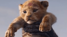 roi lion
