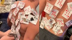 agrafer jeu de cartes dos