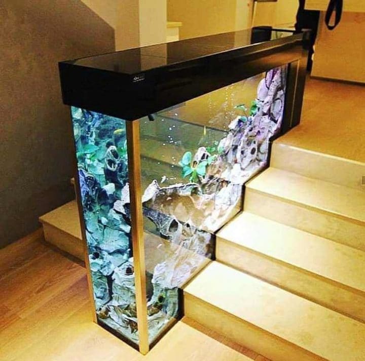 Aquarium