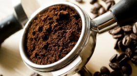 café-support-enzymes-sensibilité-génétique