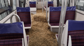 ligne 13