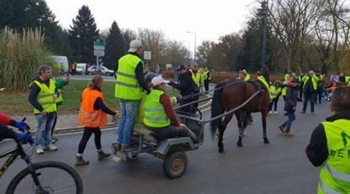 gilets jaunes