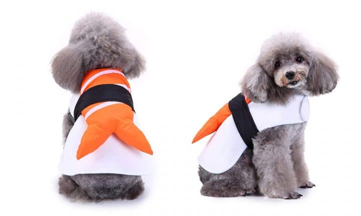 costume sushi