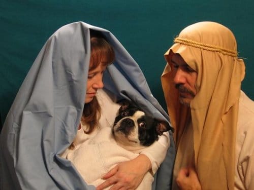 famille noel jésus chien