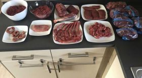 gibier mort repas de noël