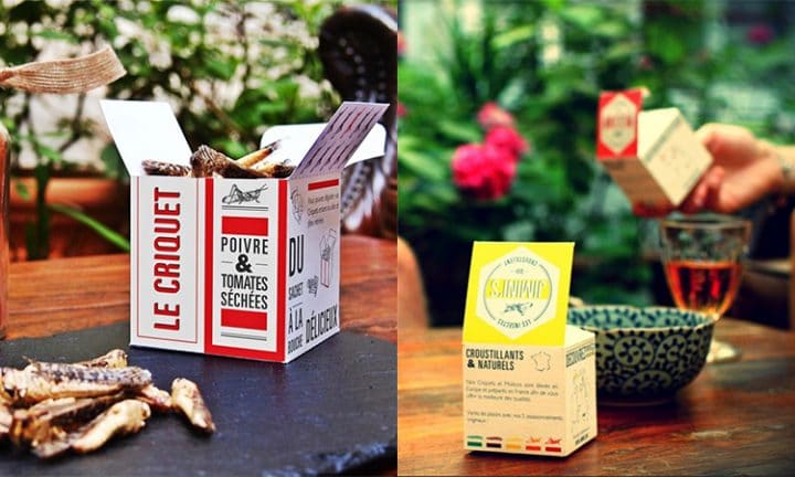 insectes comestibles