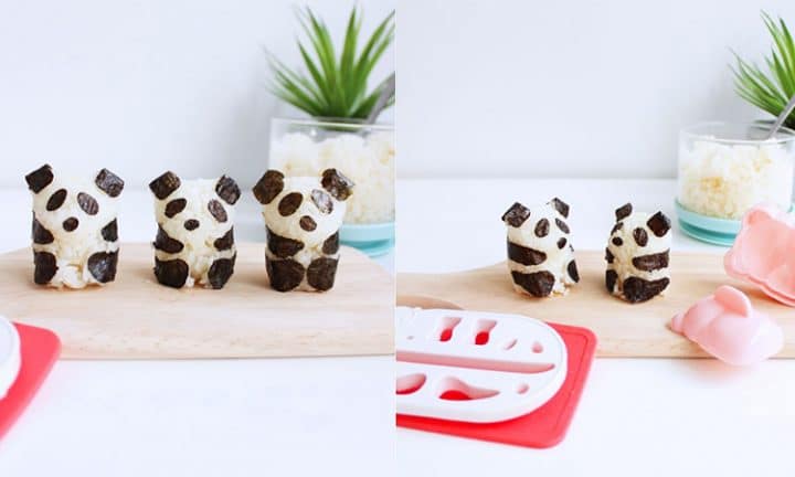 kit onigiri panda