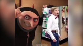 Mêmes 2018