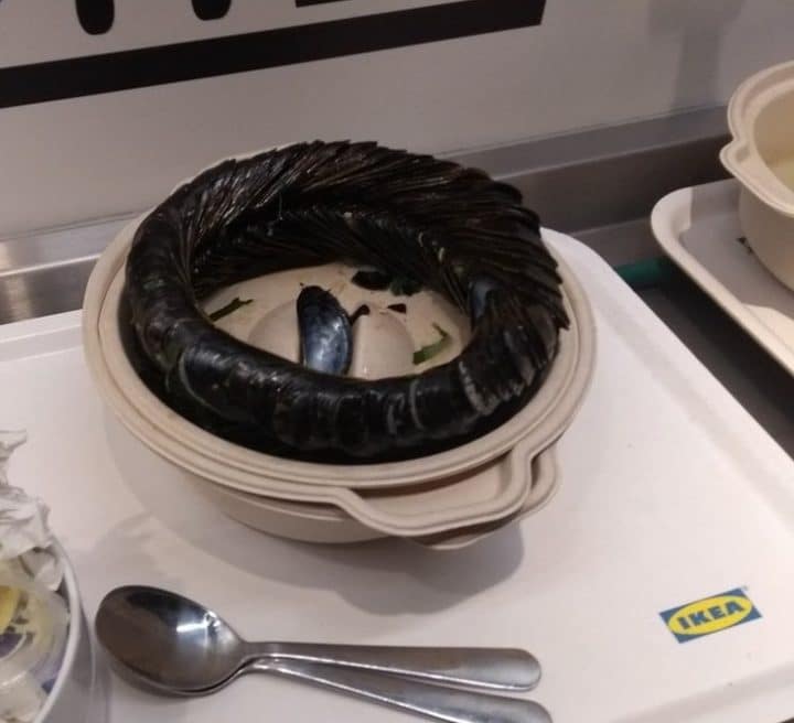 Assiette parfaitement rangée