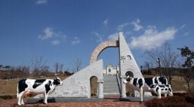 parc-attractions-fromages-corée-sud-hommage