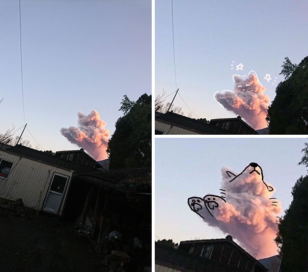 nuage chien chat