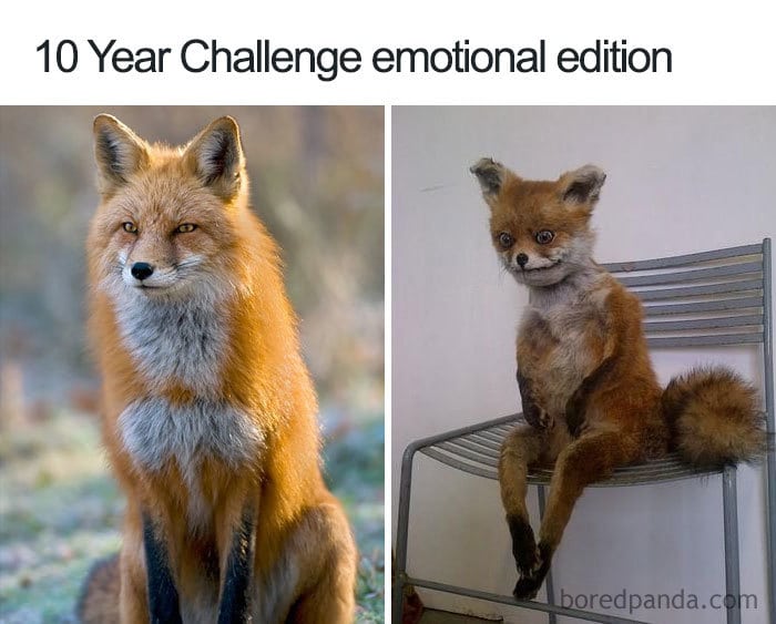 10-year-challenge-memes