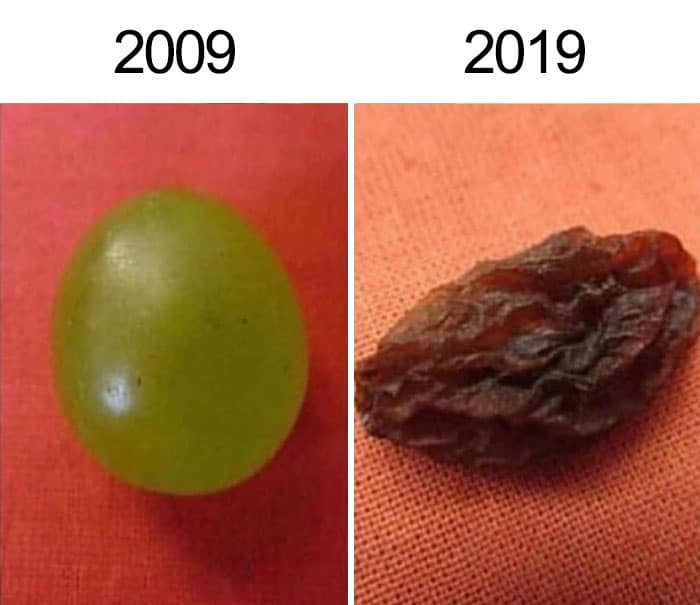 10-year-challenge-memes