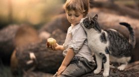 chat