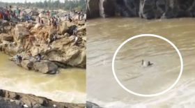 accident de selfie noyade falaises