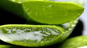 aloe vera dangers