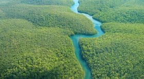 amazonie